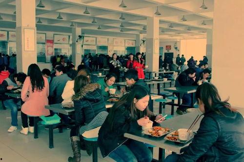 二十五中食堂爆料视频,爆料视频曝光惊人内幕