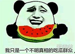 潮汕搞笑吃瓜群众,笑料百出，瓜田里的欢乐时光