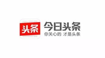 今日头条大字和小字区别,揭秘今日头条字体差异背后的奥秘