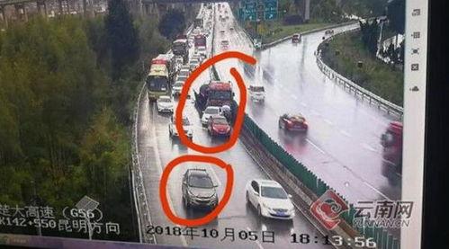 肇事逃逸吃瓜群众视频,吃瓜群众视频记录惊险瞬间