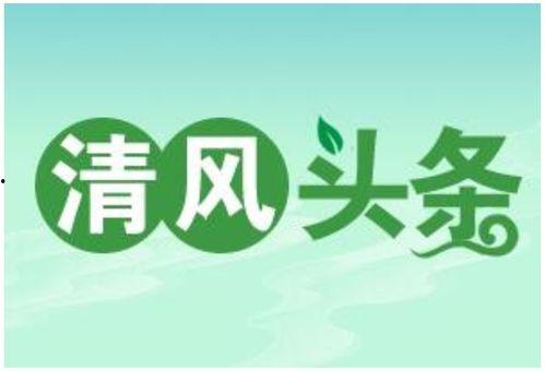 郴州石盖塘街道新闻头条,聚焦社区发展新动态