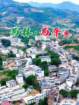 西林县头条,聚焦本土发展，解码乡村振兴新篇章