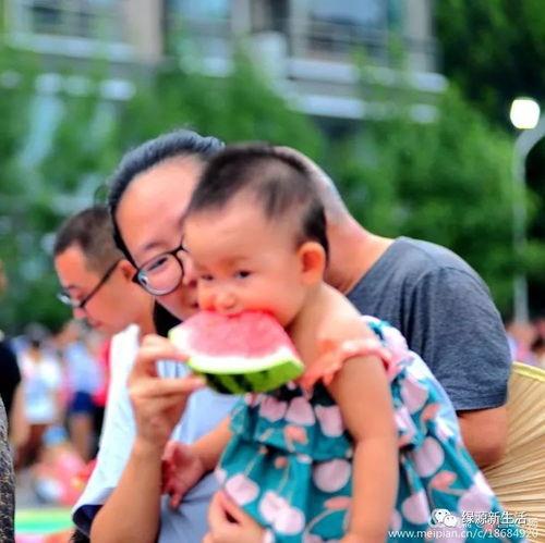 吃瓜大全合集,揭秘娱乐圈幕后故事与热点事件